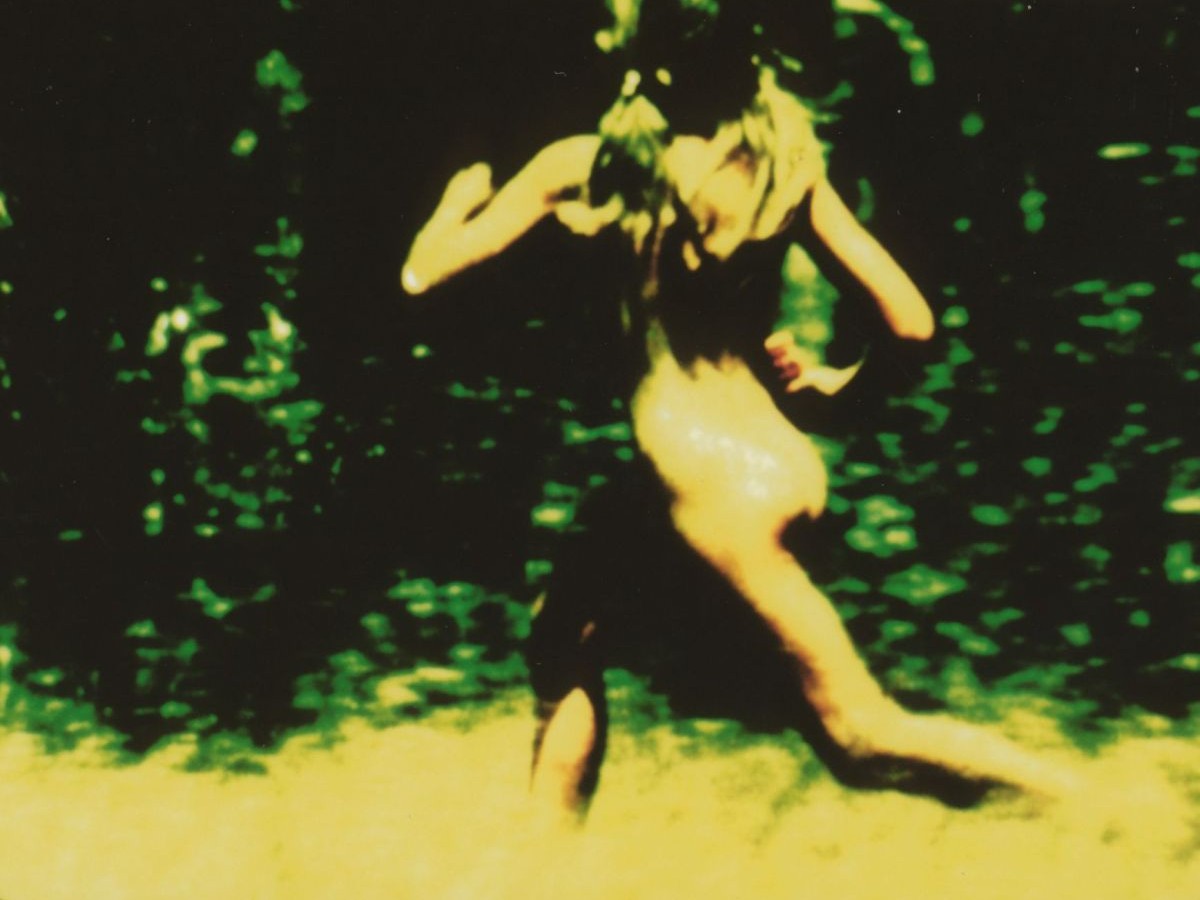 Sexual Meditation: Open Field, 1973, Stan Brakhage (Kadervergrößerung ÖFM)